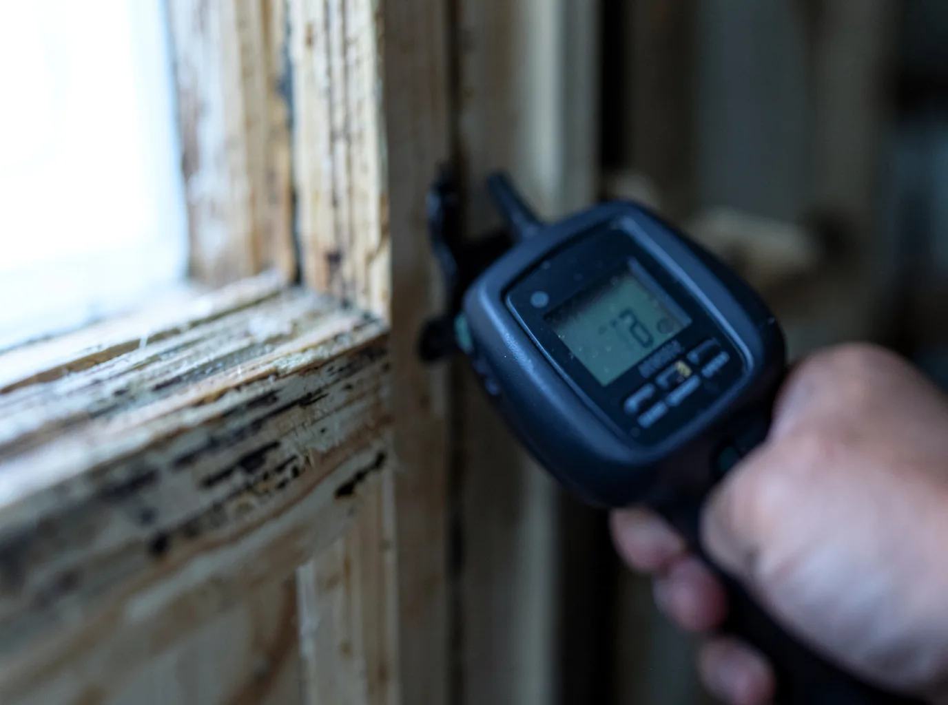 Commercial Water Damage Restoration in Tintah, MN